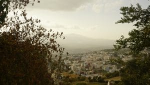 Gallery Thumbnail 6