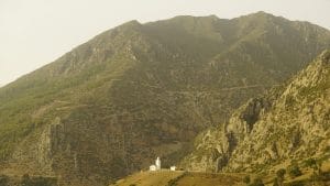 Gallery Thumbnail 2