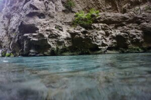 Gallery Thumbnail 4