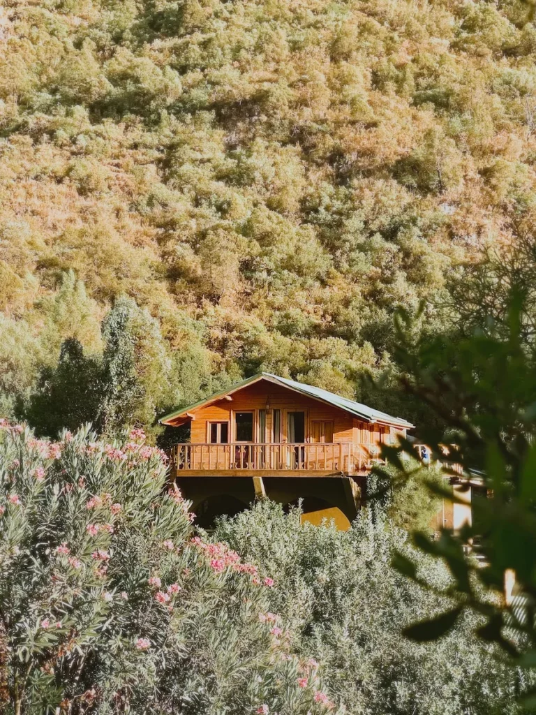 a house in the middle of a forest
