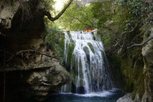 Gallery Thumbnail 2