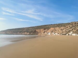 Gallery Thumbnail 5
