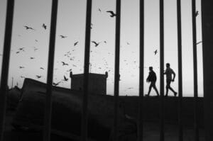 Gallery Thumbnail 9