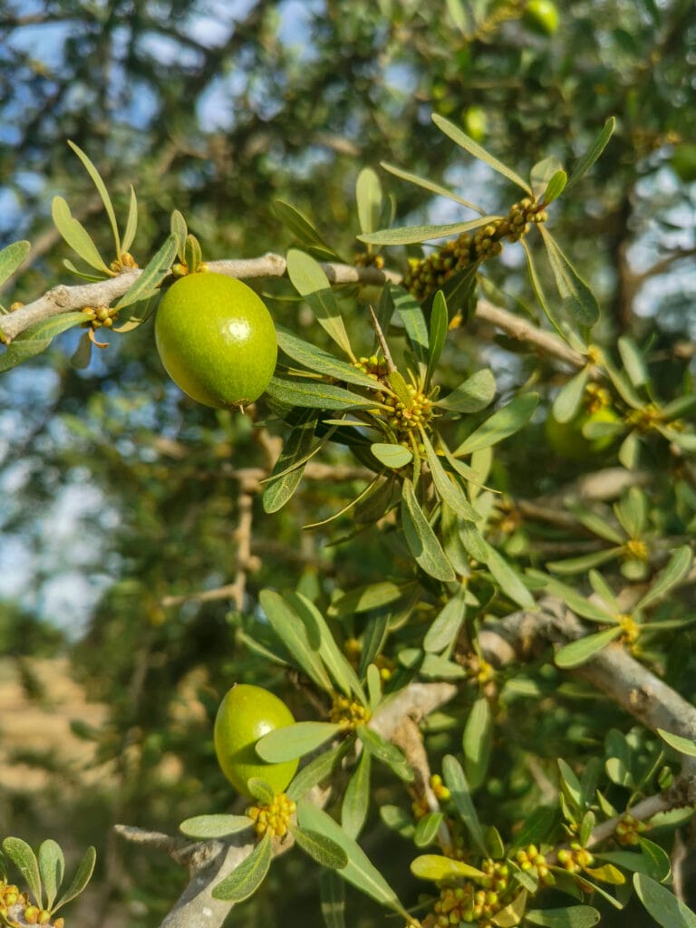 img 20250504 185049lightroom
