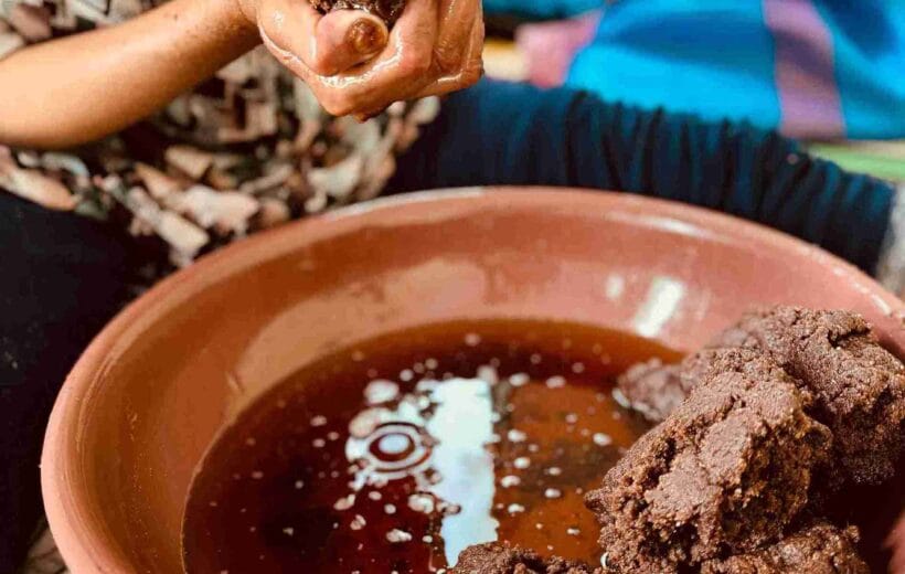 Authentic Argan Oil Journey & Berber Wisdom - Unveil Essaouira's Liquid Gold