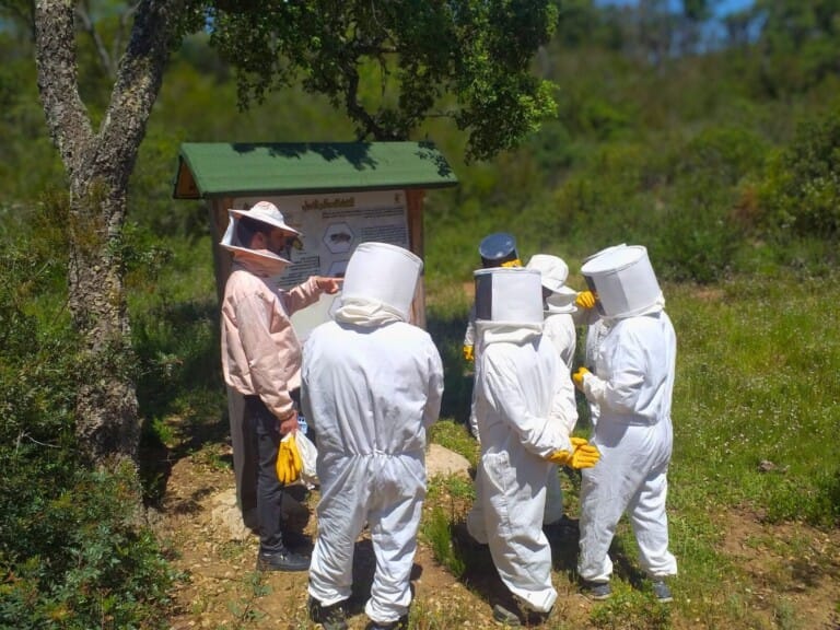group of people listening to a local beekeeper