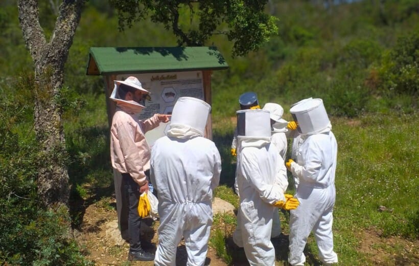 The Complete Beekeeping Experience: Tour, Taste & Create in Chefchaouen