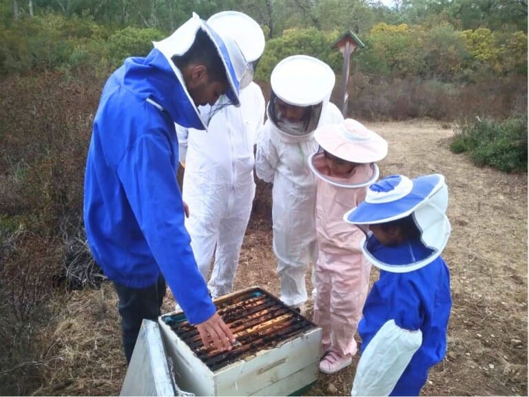 kids discovering the beehives near chefchaouen