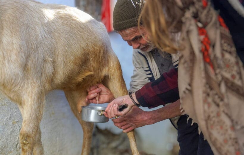 Chefchaouen Goat Cheese Workshop: Authentic Tasting