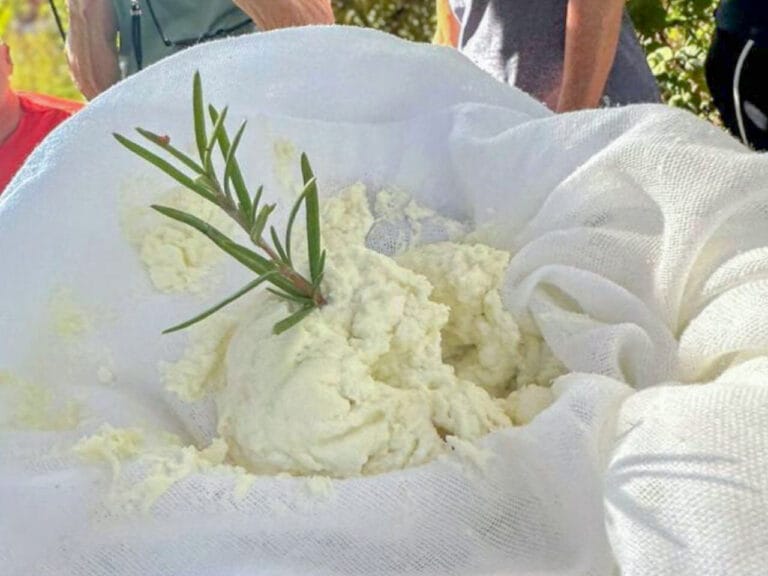 moroccan fresh cheese tasting