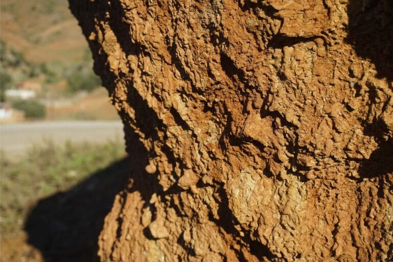 Close-up of natural red clay deposit in a Rif Mountain rock face near Oued Laou.