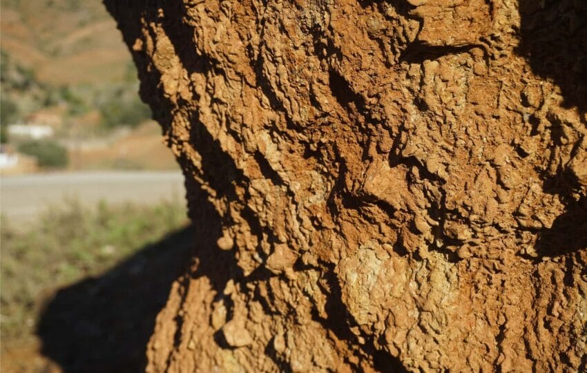 Close-up of natural red clay deposit in a Rif Mountain rock face near Oued Laou.